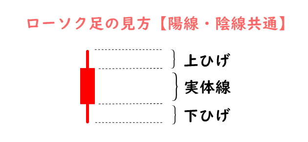 ローソク足の見方