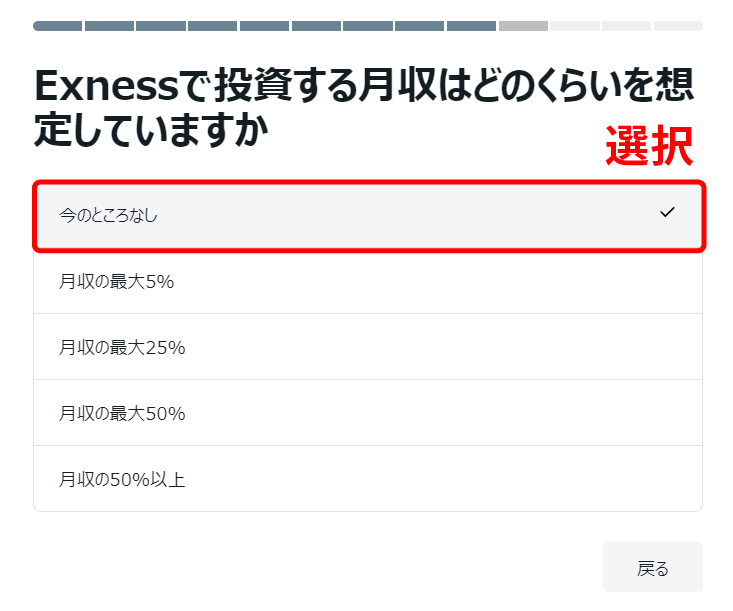 Exness(エクスネス)に投資する月収を申告